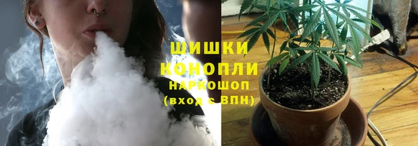 МДПВ Богданович