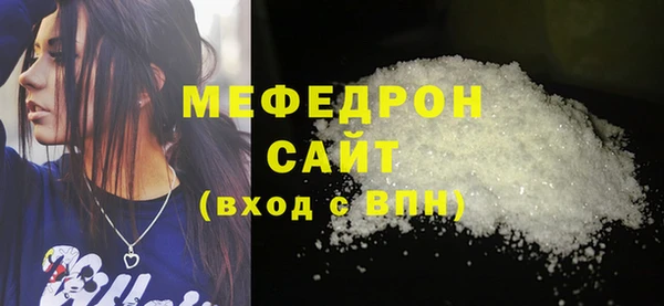 индика Богородск