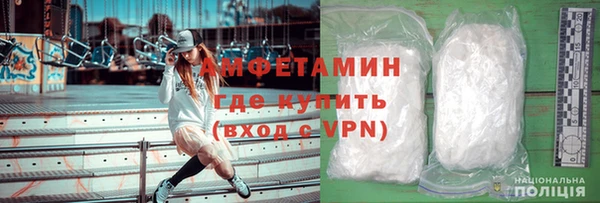 индика Богородск
