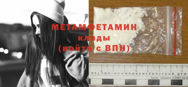 индика Богородск