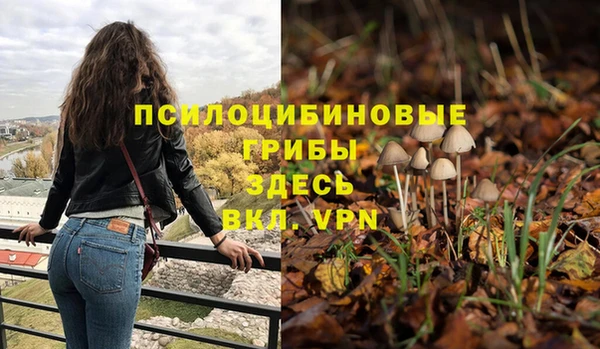 индика Богородск