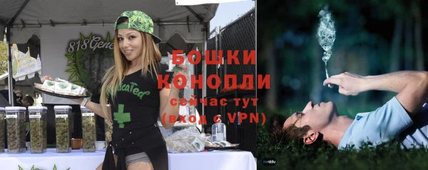 индика Богородск